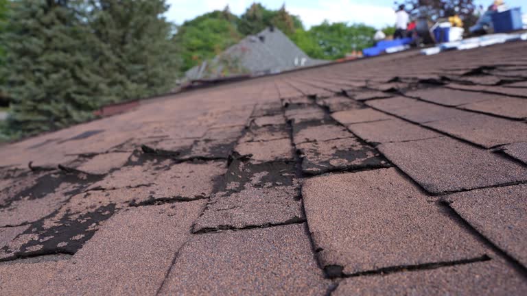 Best Roof Insulation Installation  in Huntsville, AL