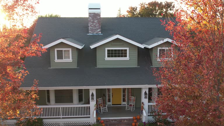 Best Roof Moss and Algae Removal  in Huntsville, AL
